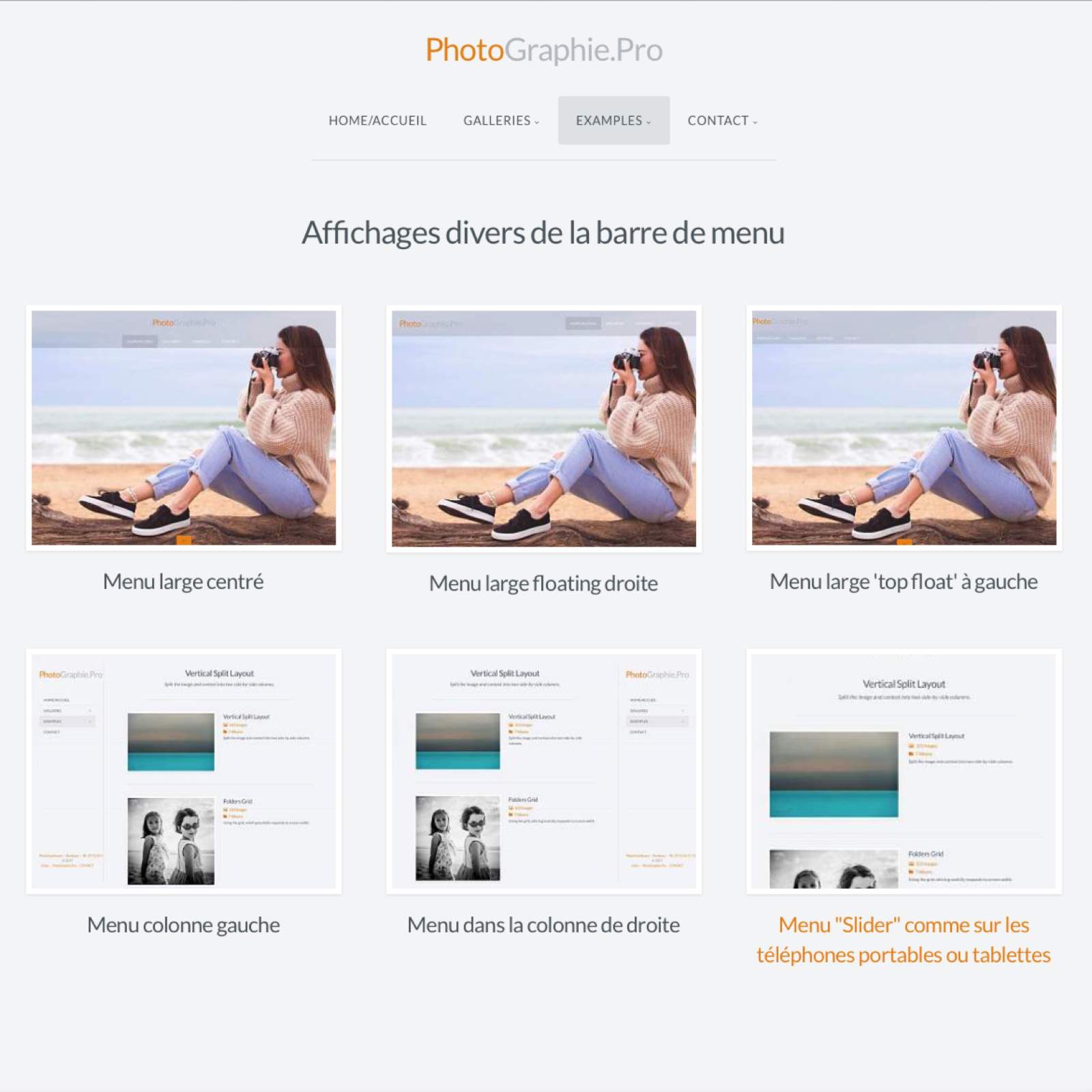 Affichages divers de la barre de menu