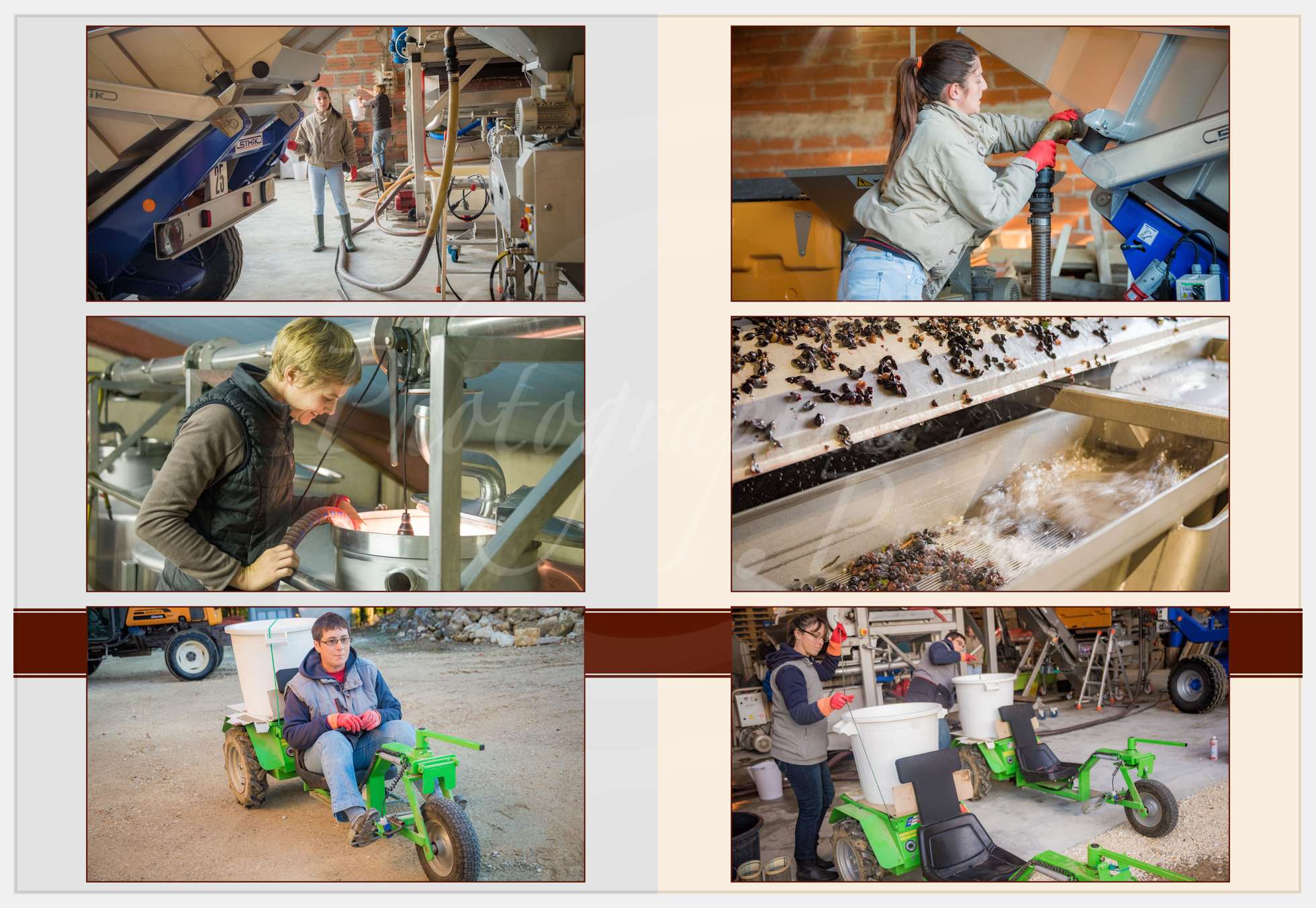 Livre Vendanges Corbin 2016 p07 c Photographie.Pro