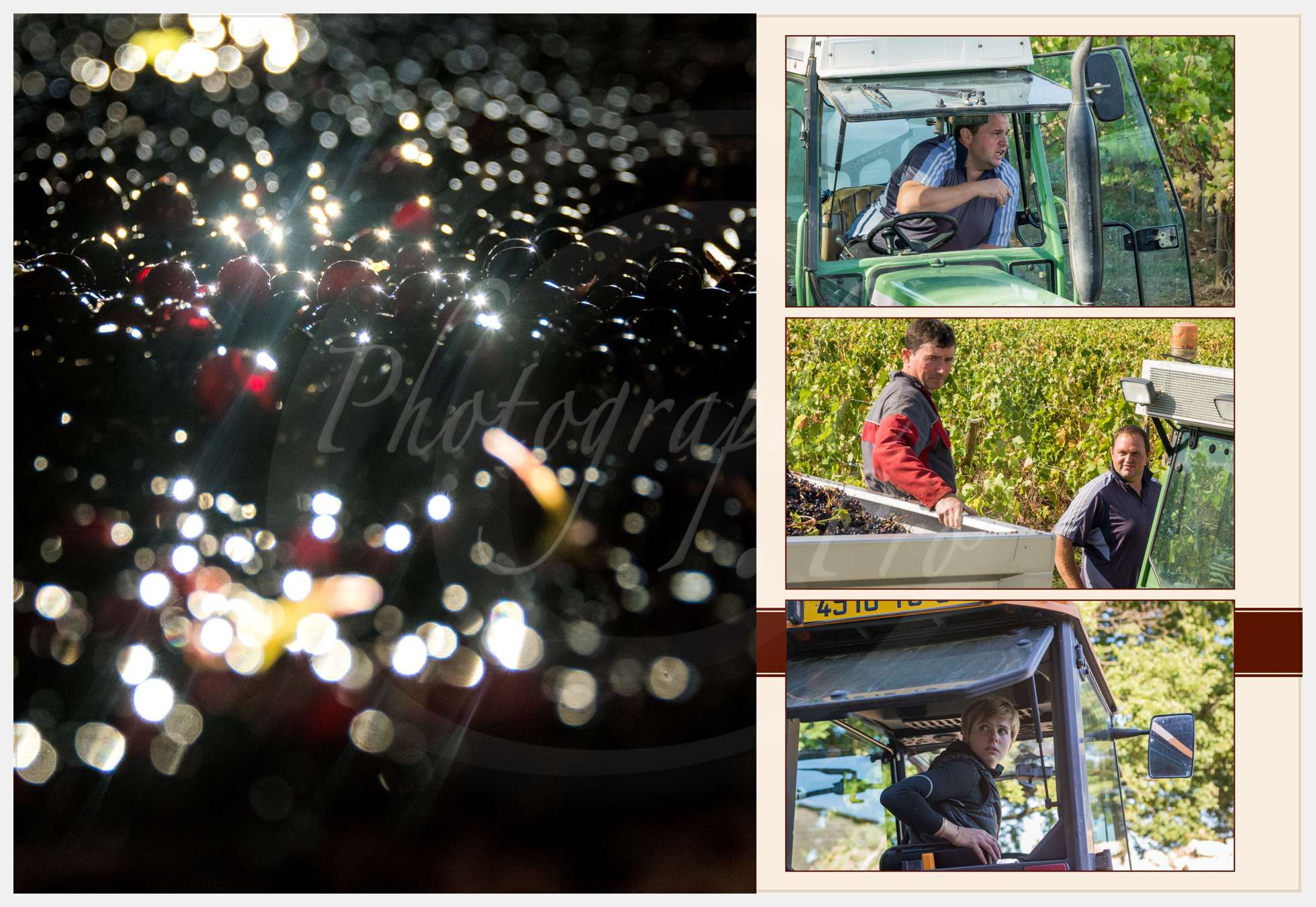 Livre Vendanges Corbin 2016 p11 c Photographie.Pro