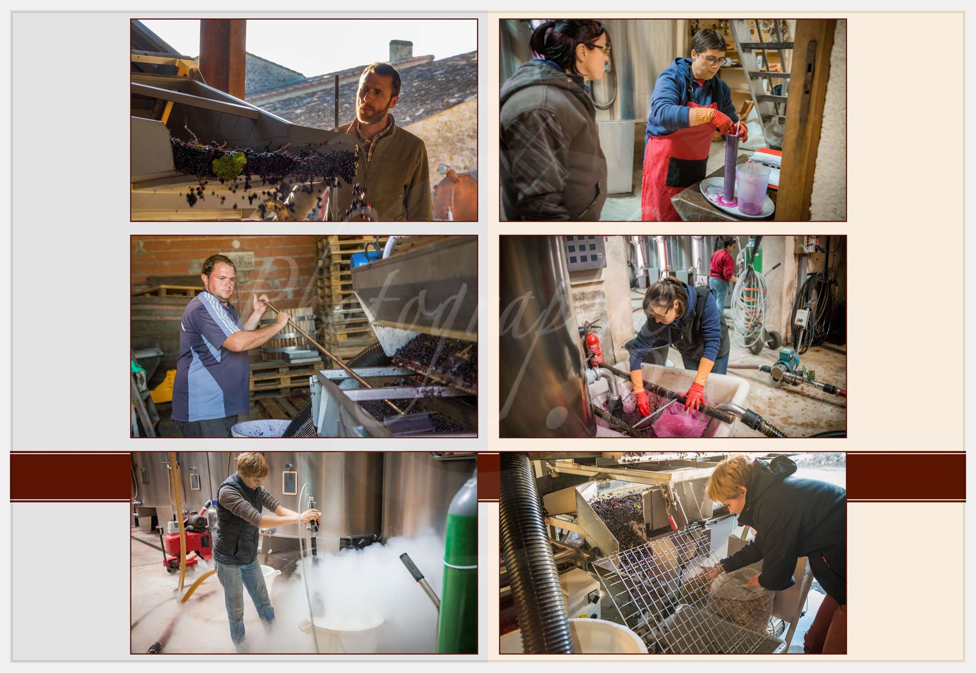 Livre Vendanges Corbin 2016 p12 c Photographie.Pro