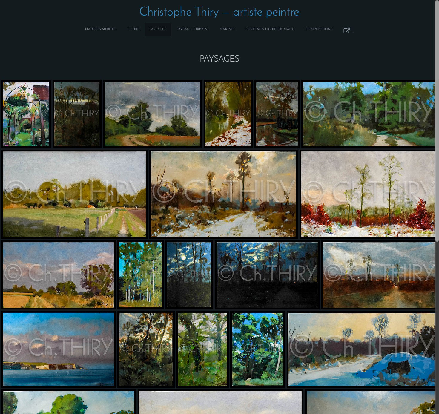 Christophe-Thiry-Peintre